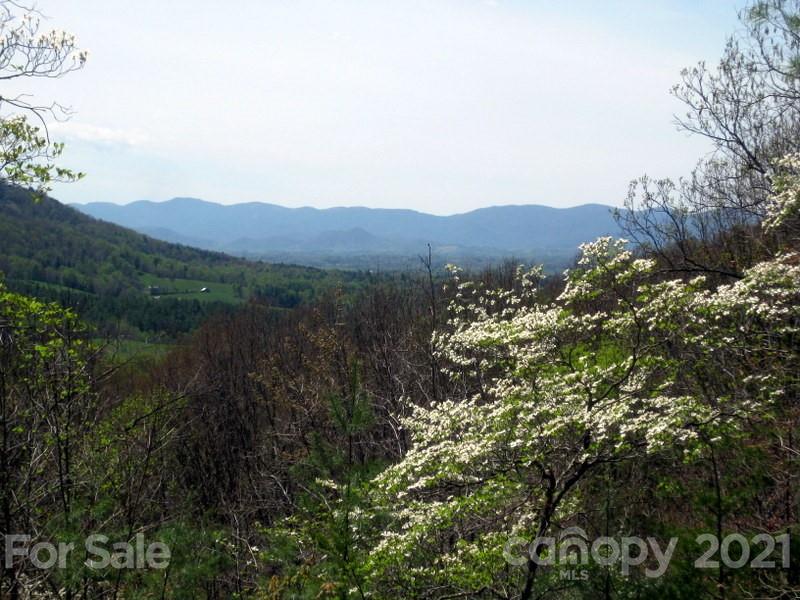 46 Perennial Ridge Weaverville, NC 28787 - Photo 6 of 24 a view of a town with mountains in the background