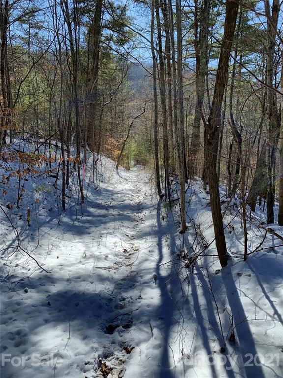 46 Perennial Ridge Weaverville, NC 28787 - Photo 7 of 24 a view of a yard with trees