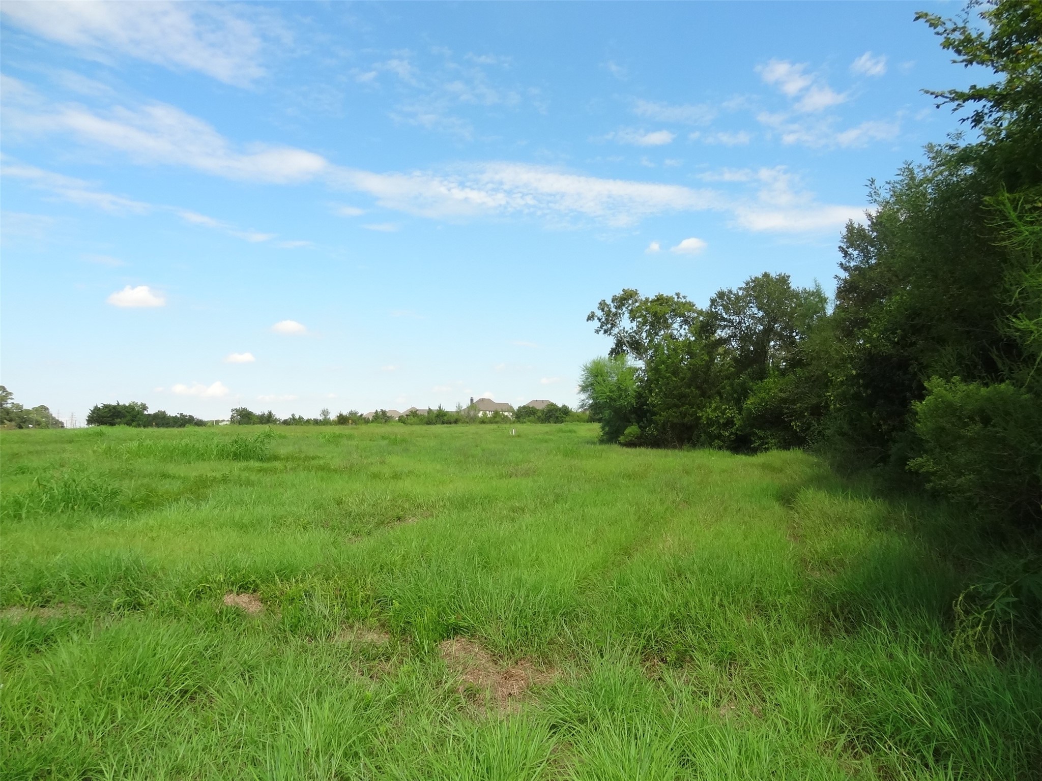 19507 Old Galveston Road Webster, TX 77598 - Photo 2 of 3 a view of a lush green space