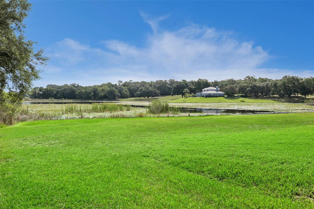 605 Old Mt Dora Road Eustis, FL 32726 - Photo 52 of 61