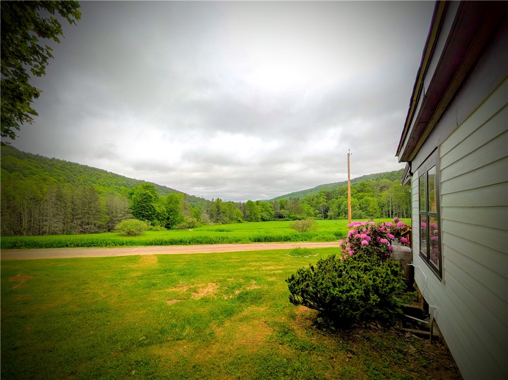 121 Palmer Road Jefferson, NY 12093 - Photo 41 of 49 Acreage