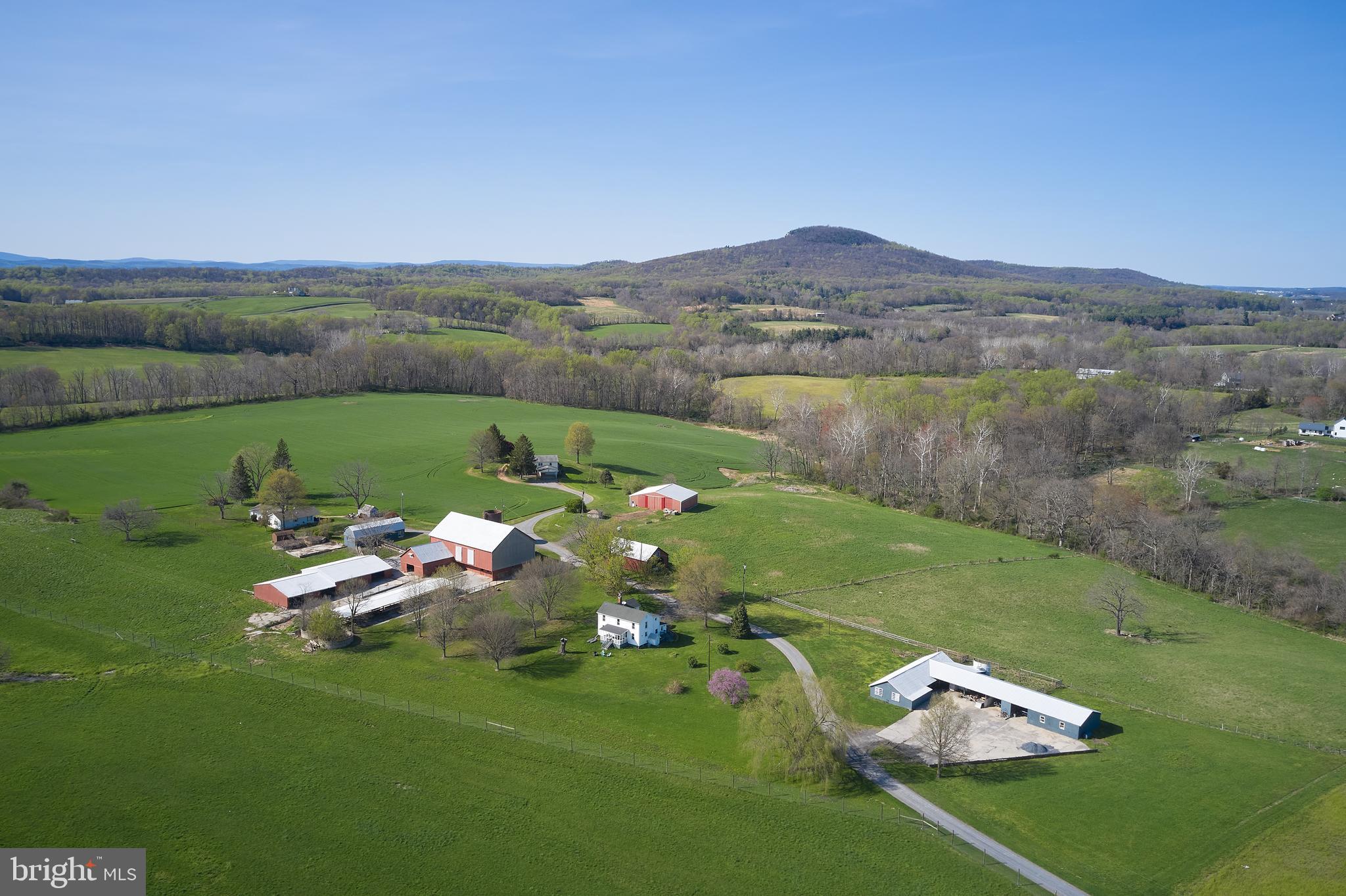 18925 Barnesville Road Dickerson, MD 20842 - Photo 1 of 61 31 acre farm complex