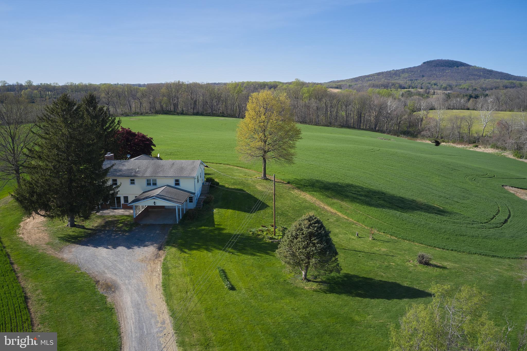 18925 Barnesville Road Dickerson, MD 20842 - Photo 25 of 61 Main house