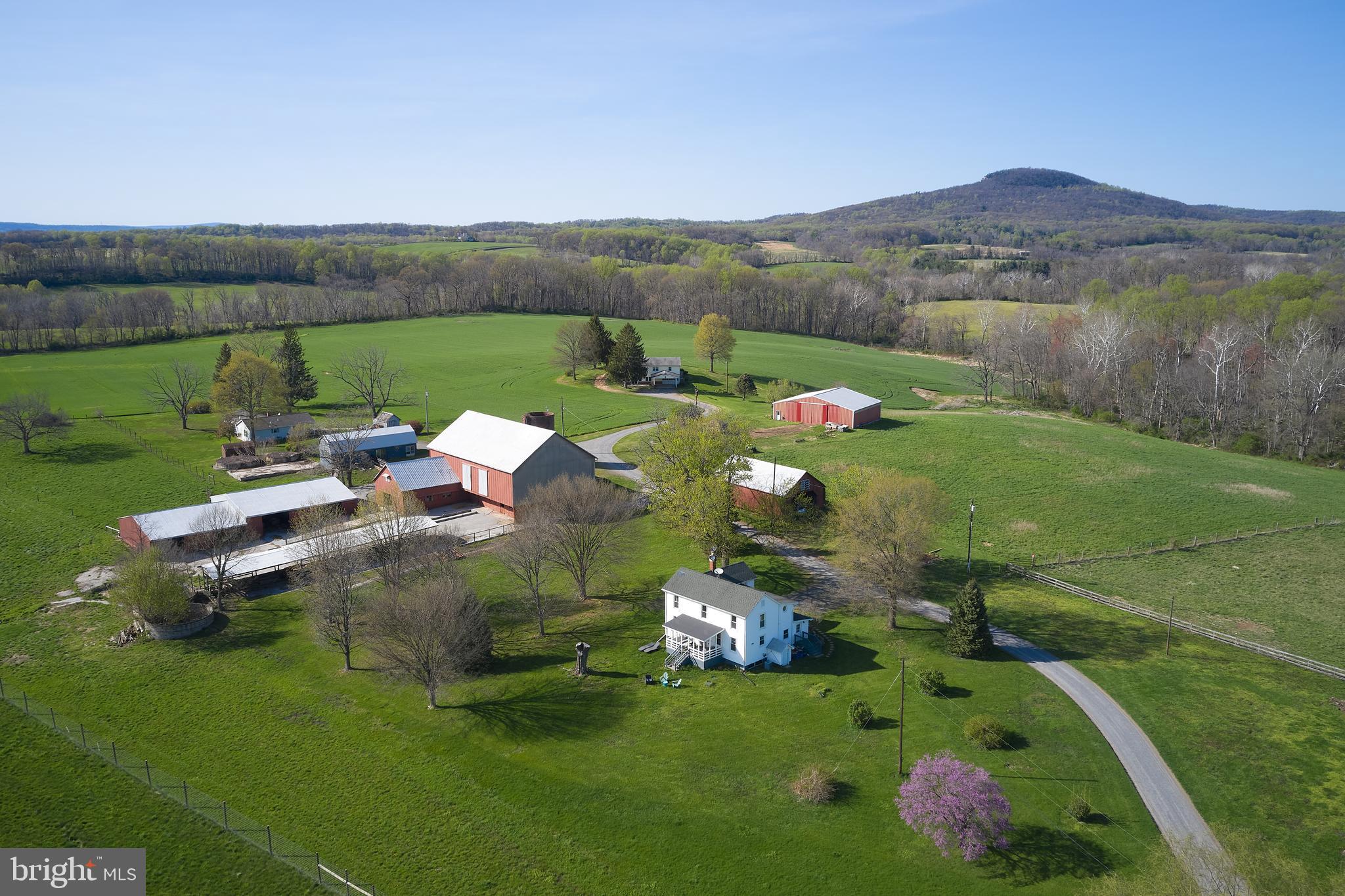 18925 Barnesville Road Dickerson, MD 20842 - Photo 3 of 61 Views of Sugarloaf Mountain