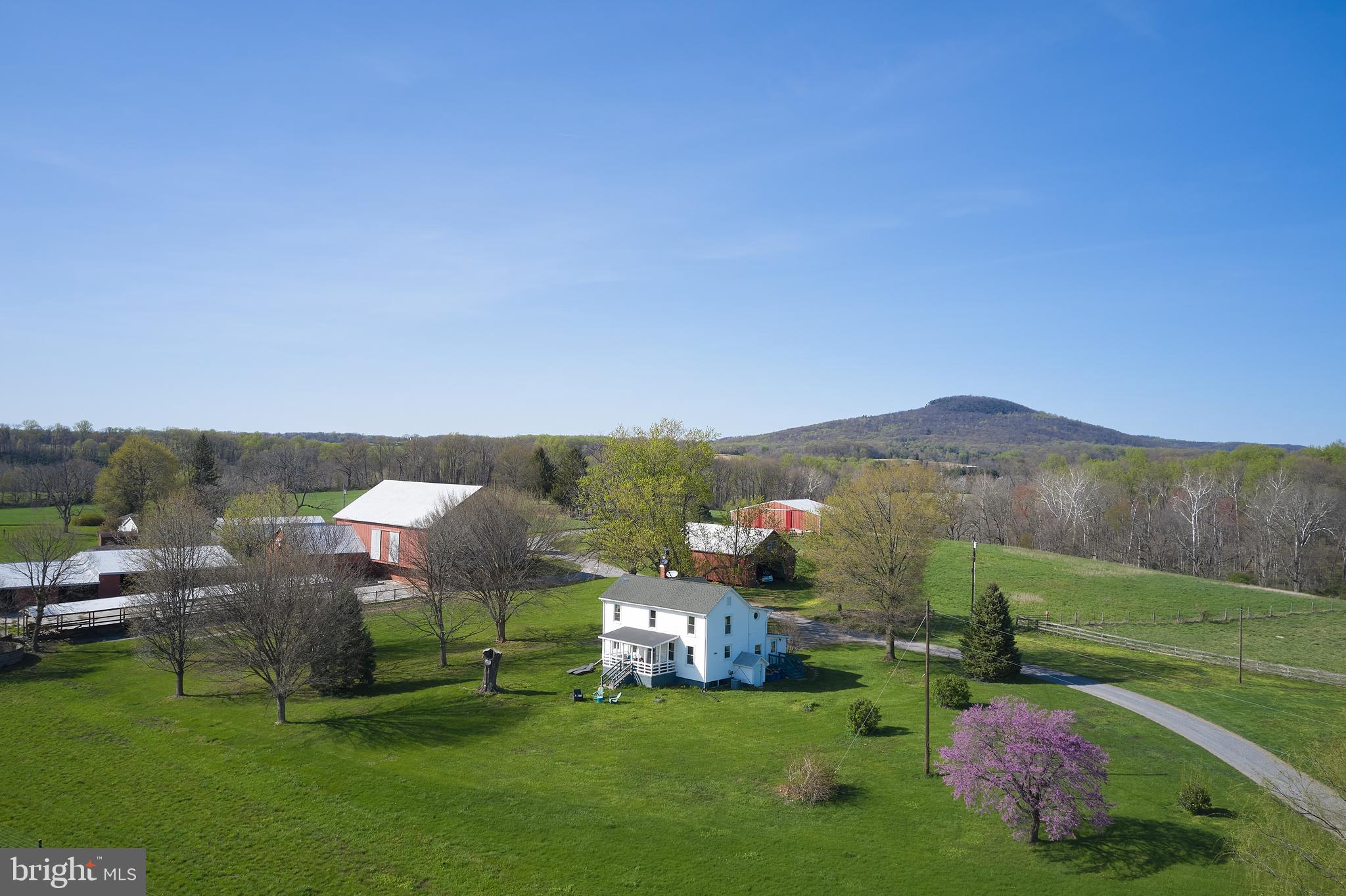 18925 Barnesville Road Dickerson, MD 20842 - Photo 43 of 61 Private setting