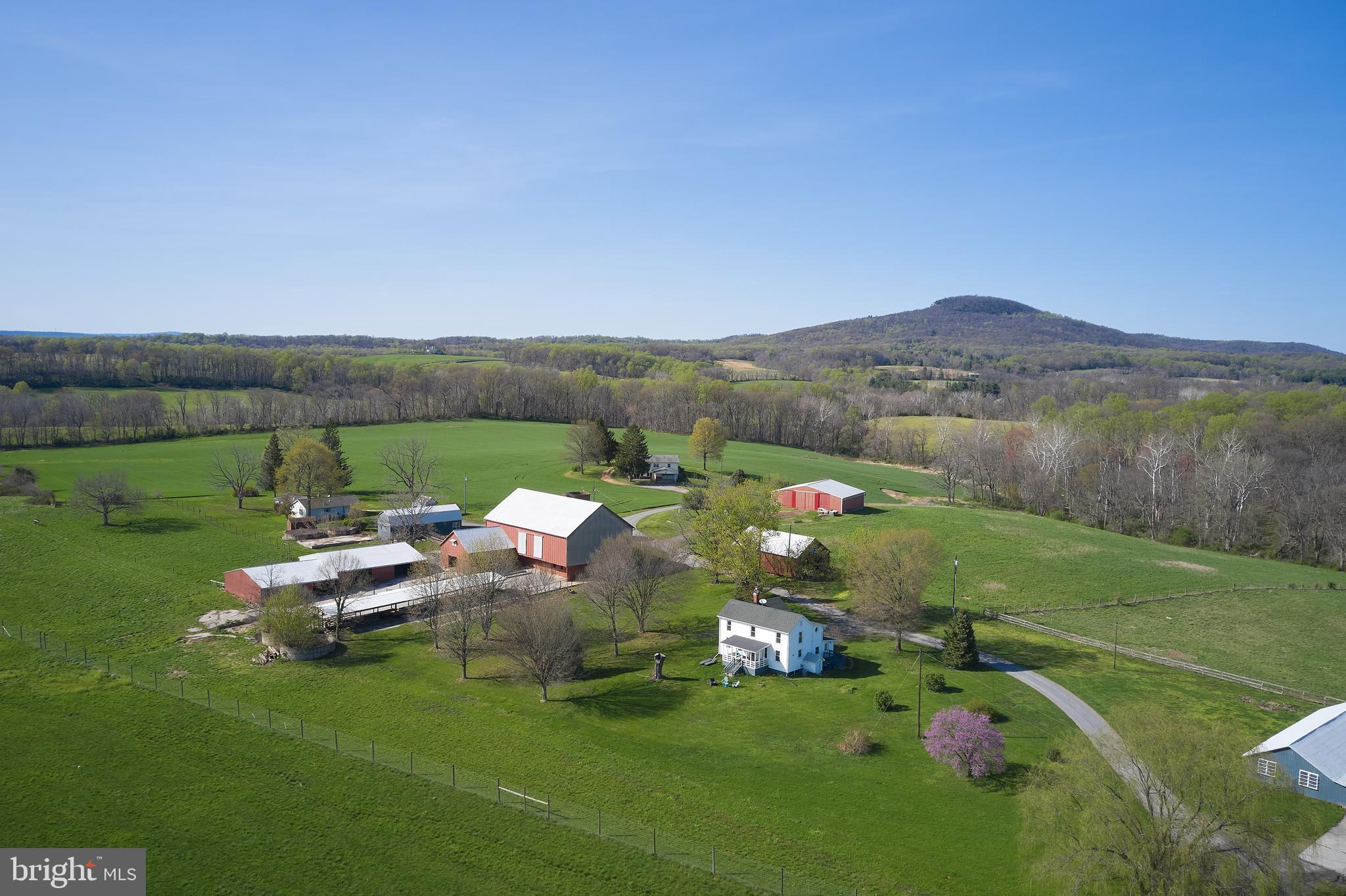 18925 Barnesville Road Dickerson, MD 20842 - Photo 44 of 61