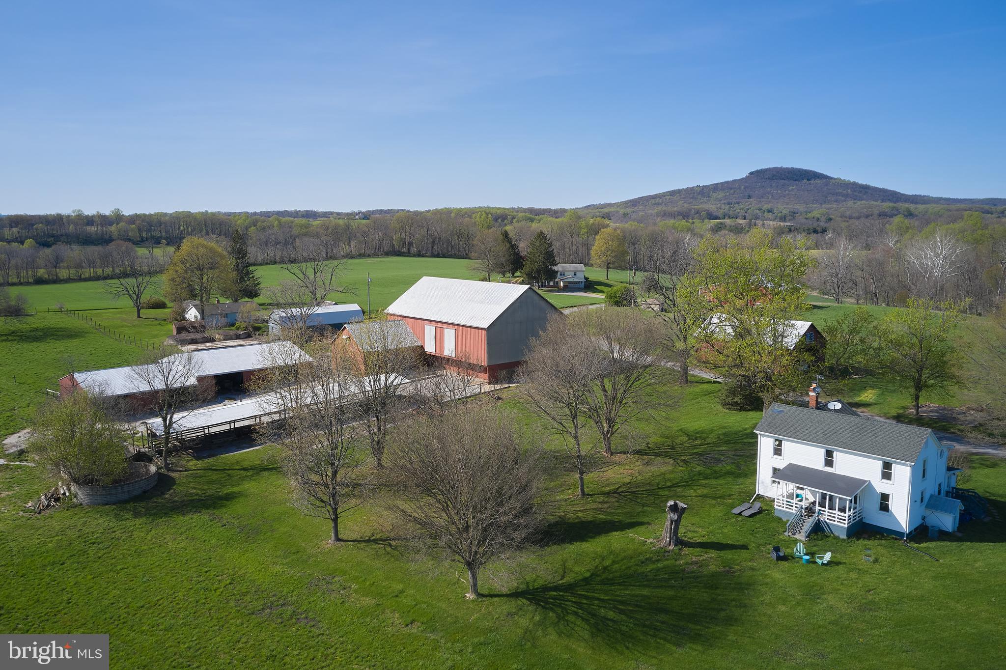 18925 Barnesville Road Dickerson, MD 20842 - Photo 46 of 61