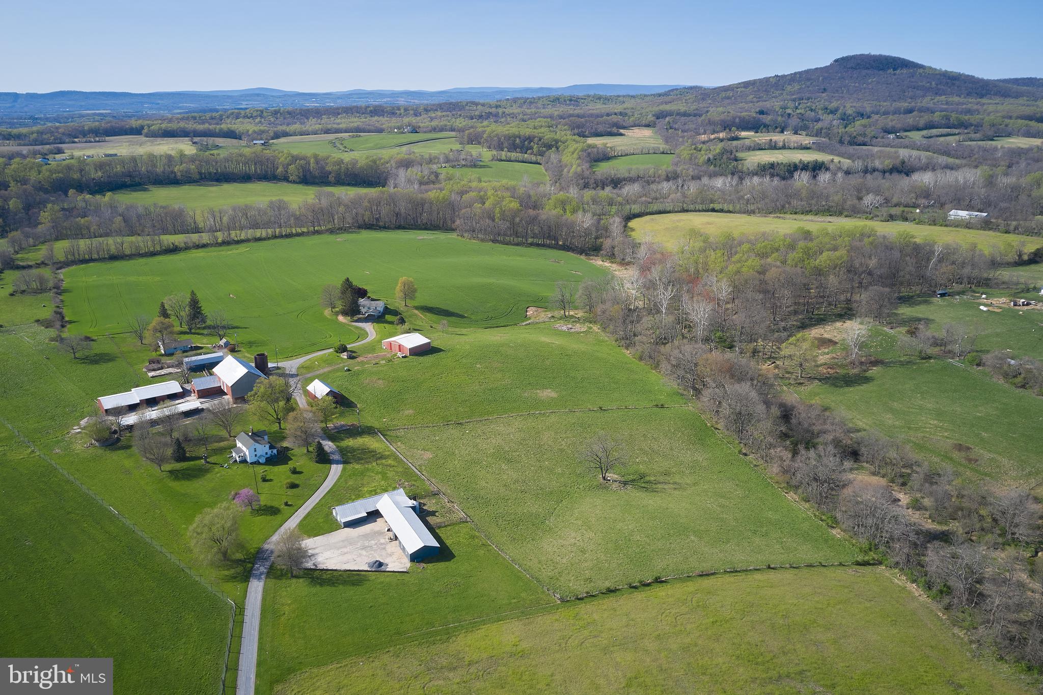 18925 Barnesville Road Dickerson, MD 20842 - Photo 60 of 61
