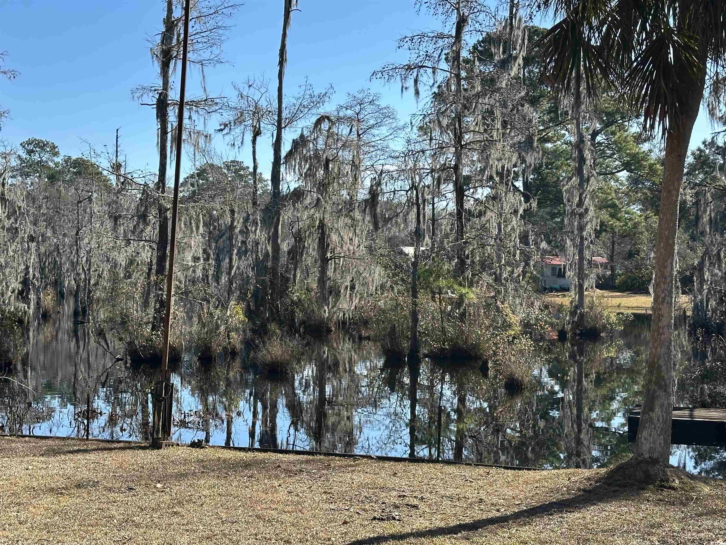 68 Mallard Circle Georgetown, SC 29440 - Photo 9 of 24 Water view with a forest