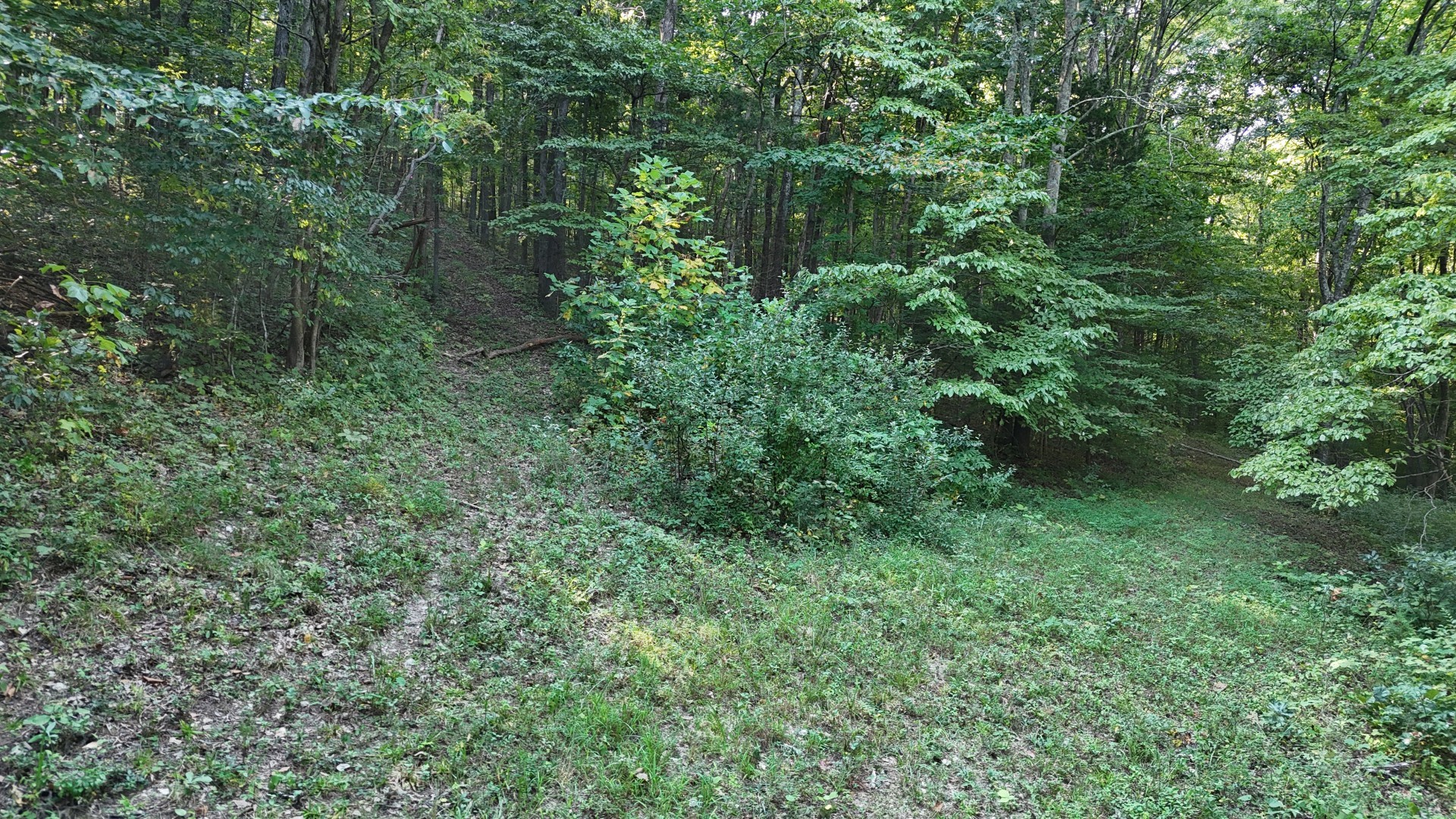 3655 Lyndell Bell Road Normandy, TN 37360 - Photo 3 of 14 Gallery Image 3
