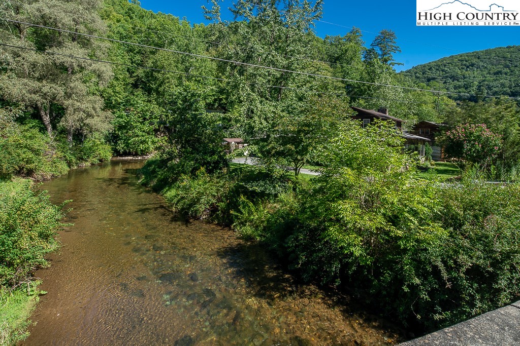 492 Payne Branch Road Boone, NC 28607 - Photo 44 of 49 a view of a yard with plants and a bench under a tree