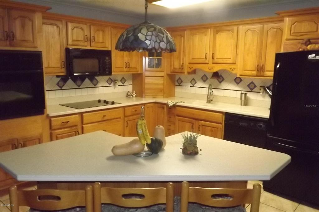 15315 Southeast 105th Terrace Road Summerfield, FL 34491 - Photo 4 of 37 DSCF1154