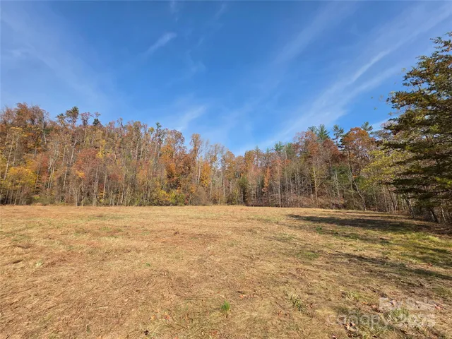 a black and white photo of a park