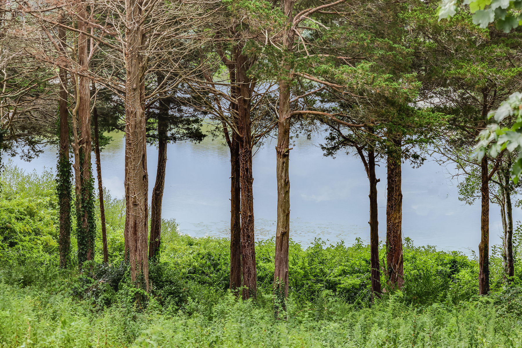 57 Pochet Road Orleans, MA 02653 - Photo 5 of 40 Uncle Harveys Pond