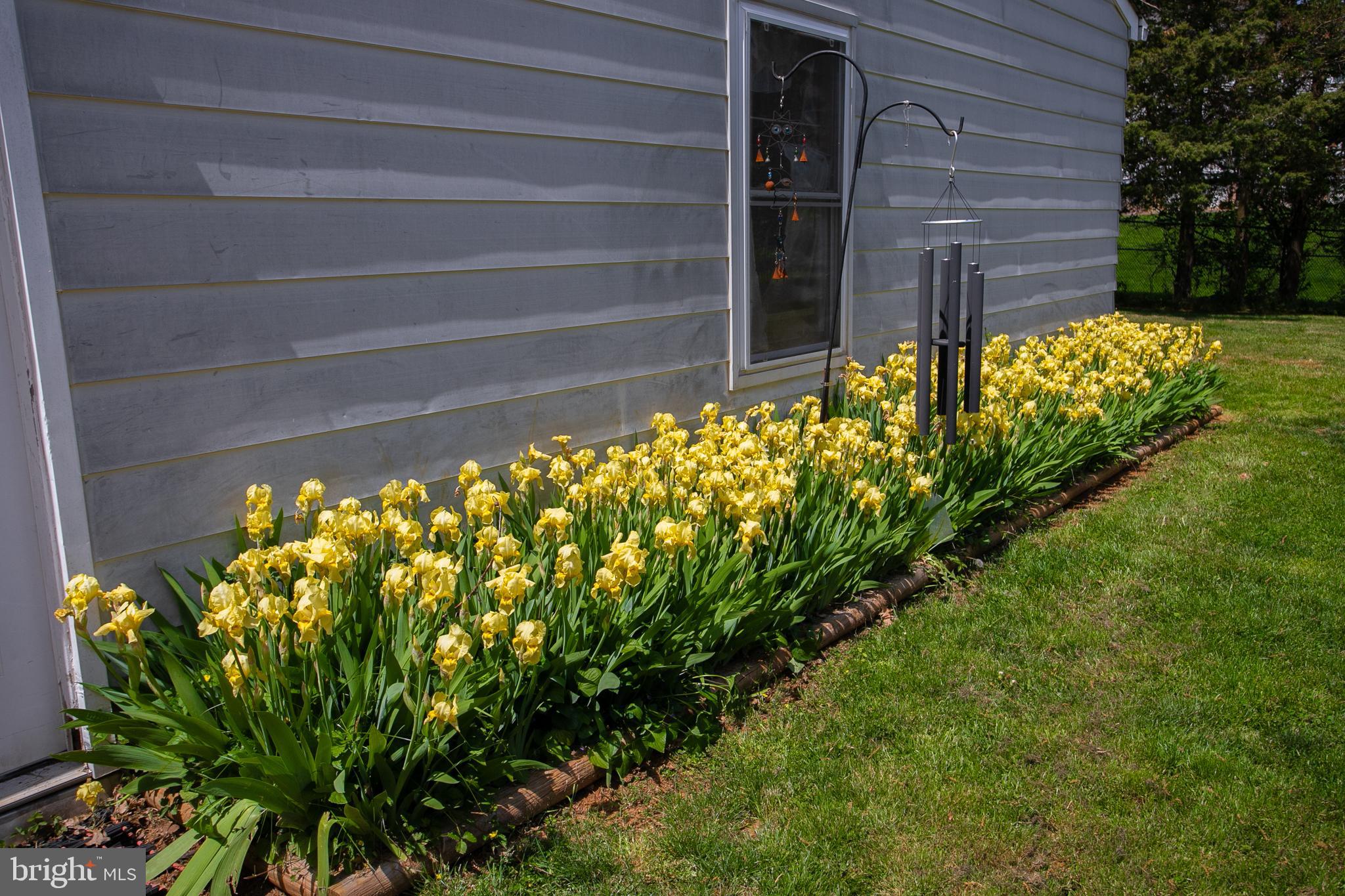 372 Route 526 Road Cream Ridge, NJ 08514 - Photo 31 of 39