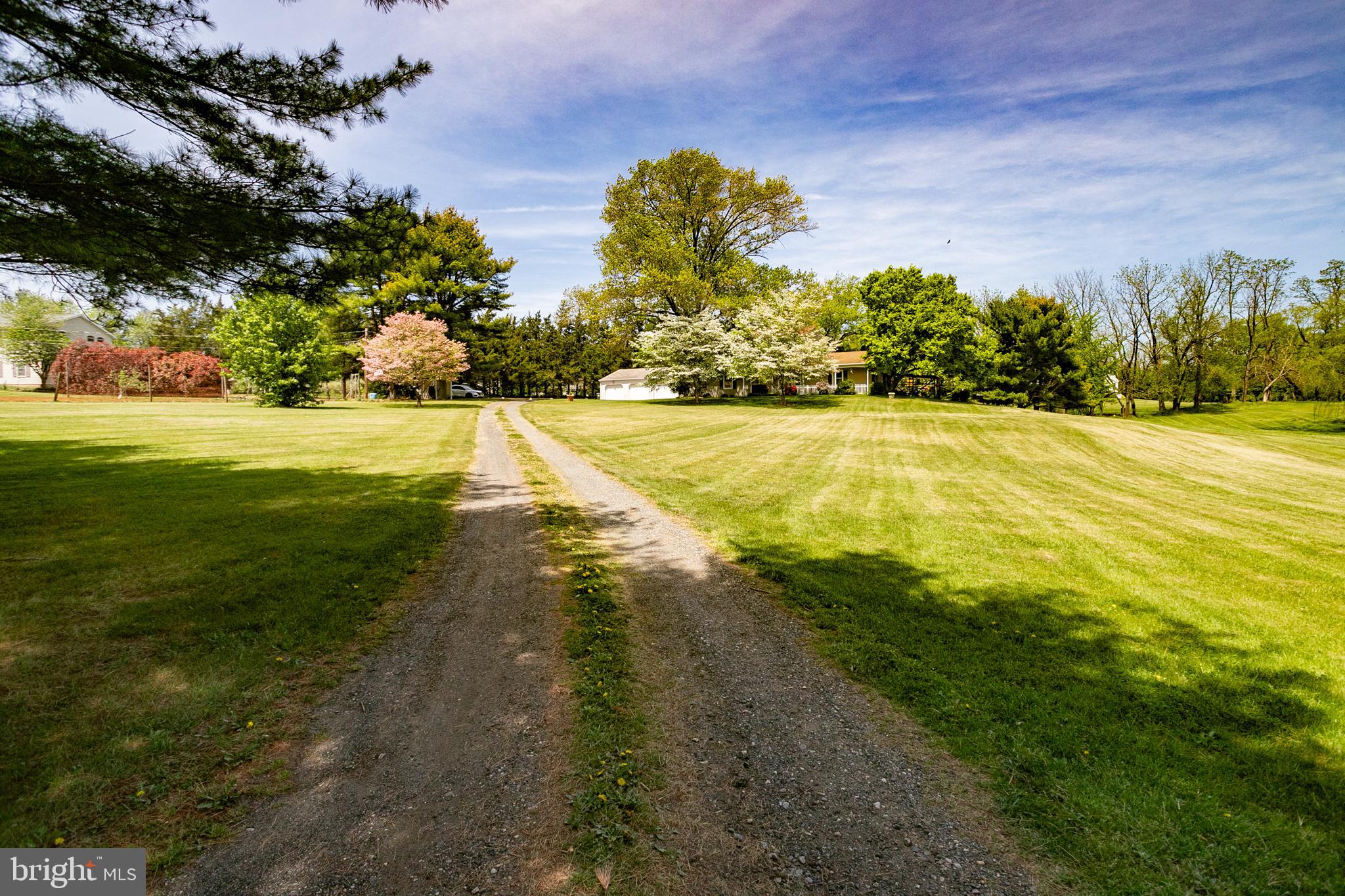 372 Route 526 Road Cream Ridge, NJ 08514 - Photo 33 of 39