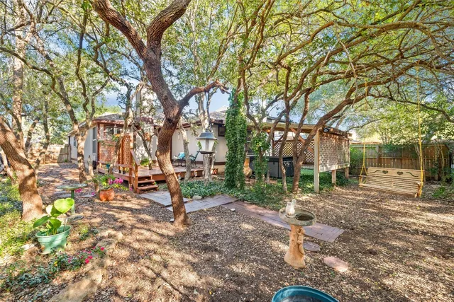 a view of a yard with plants and trees