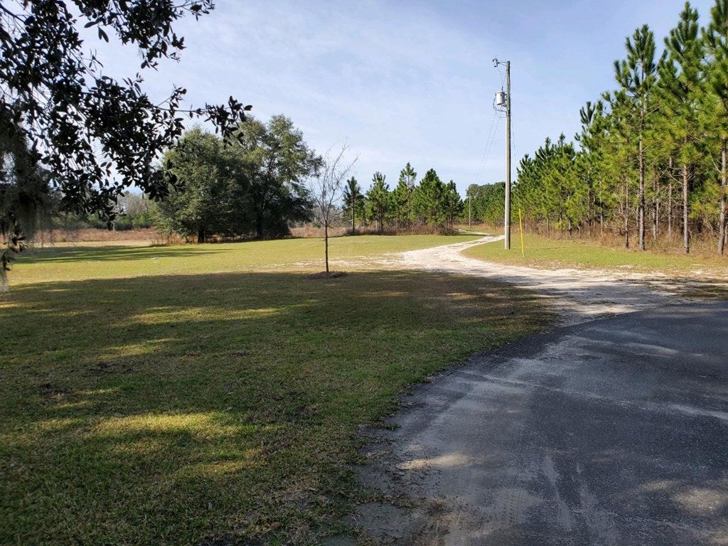 61 Tyler Road Naylor, GA 31641 - Photo 19 of 31 Gallery Image 19