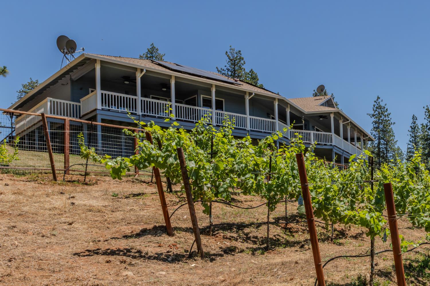 18591 Ponderosa Hills Road Volcano, CA 95689 - Photo 29 of 92