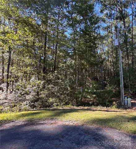 a view of a yard in front of a house