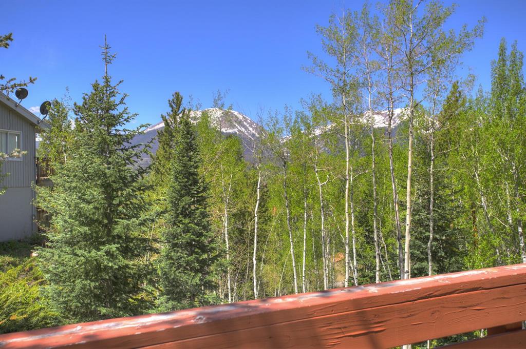 347 Deer Path Road Dillon, CO 80435 - Photo 25 of 26 a view of a garden