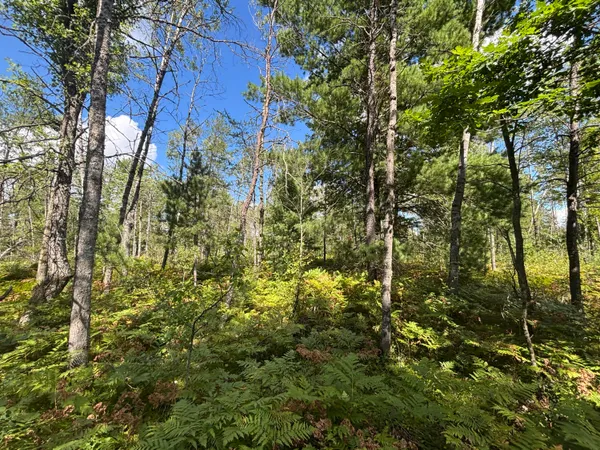 $69,500 | V/l 72nd Street, Idlewild, MI 49642