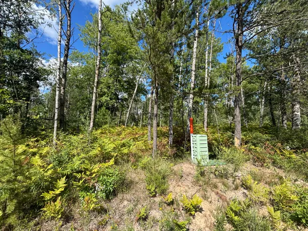 $69,500 | V/l 72nd Street, Idlewild, MI 49642