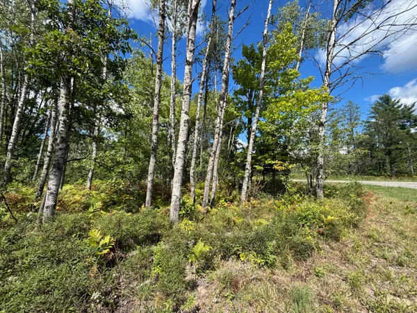 $69,500 | V/l 72nd Street, Idlewild, MI 49642