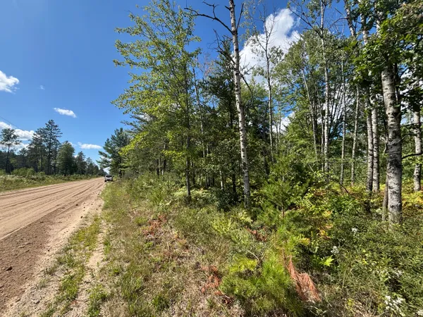 $69,500 | V/l 72nd Street, Idlewild, MI 49642