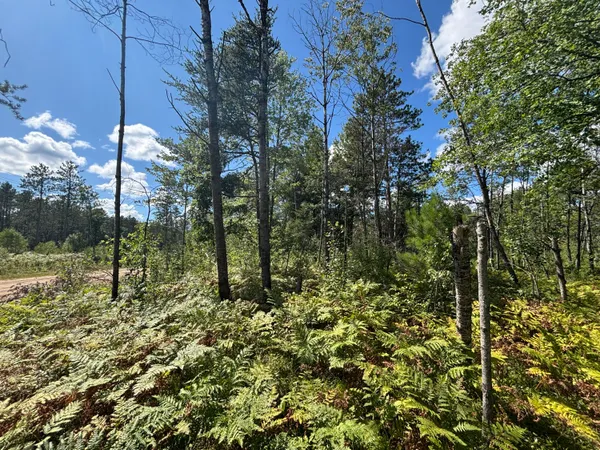 $69,500 | V/l 72nd Street, Idlewild, MI 49642