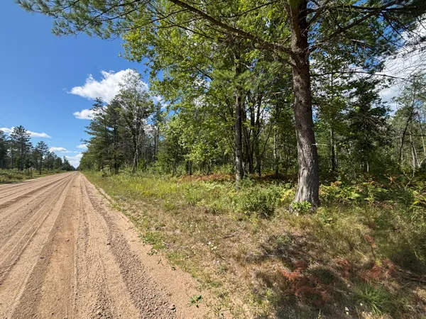 $69,500 | V/l 72nd Street, Idlewild, MI 49642