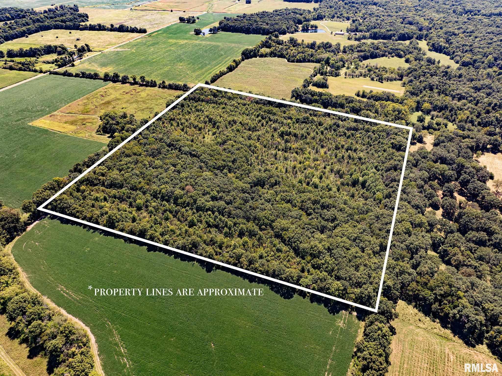 0 Hanna Road Kinmundy, IL 62854 - Photo 1 of 6
