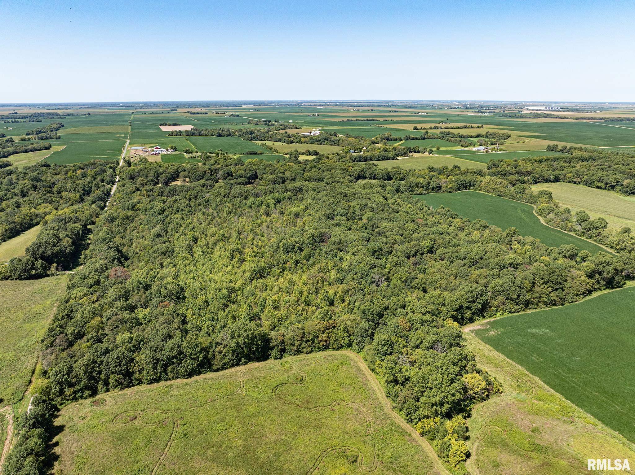 0 Hanna Road Kinmundy, IL 62854 - Photo 3 of 6