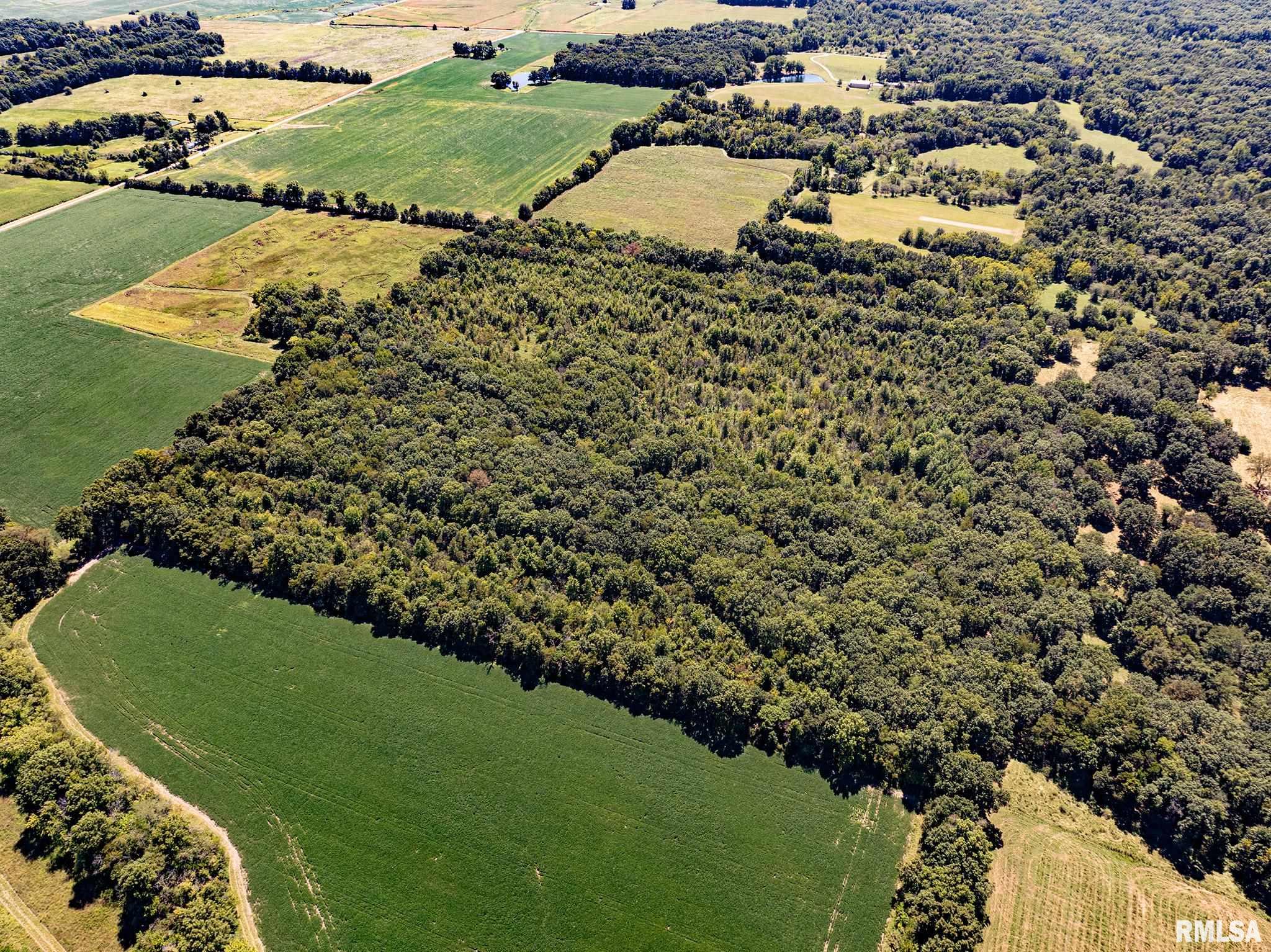 0 Hanna Road Kinmundy, IL 62854 - Photo 4 of 6