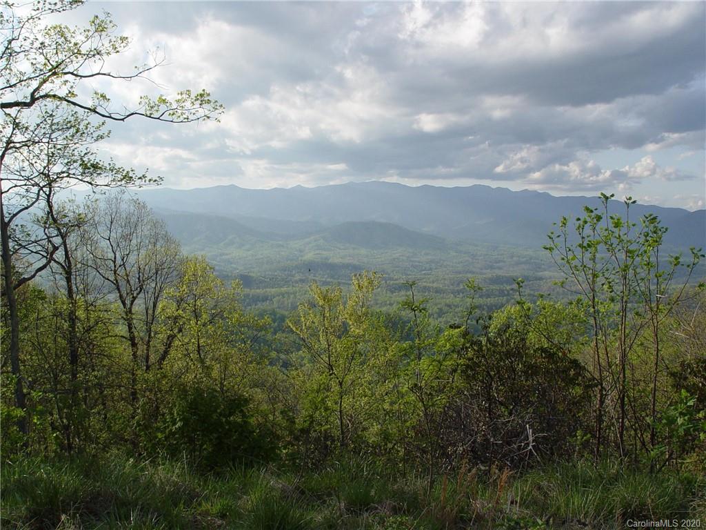 829 Table Rock Road, Unit 829 Old Fort, NC 28762 - Photo 1 of 9 Gallery Image 1
