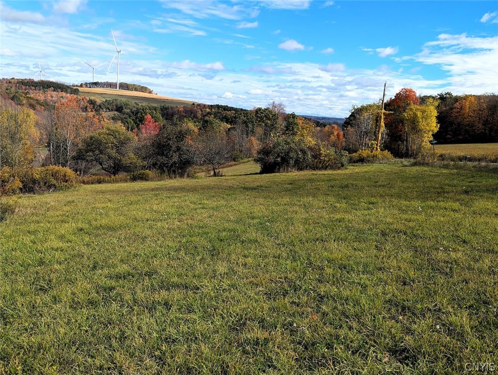 3621 Brown Hill Road Cohocton, NY 14826 - Photo 11 of 16