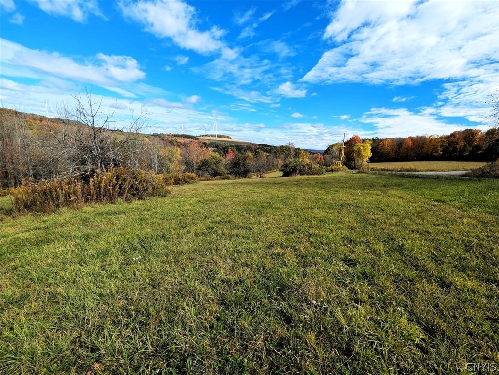3621 Brown Hill Road Cohocton, NY 14826 - Photo 12 of 16