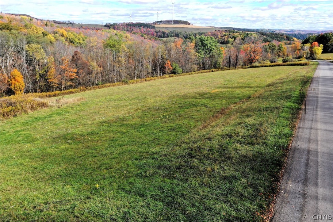 3621 Brown Hill Road Cohocton, NY 14826 - Photo 5 of 16