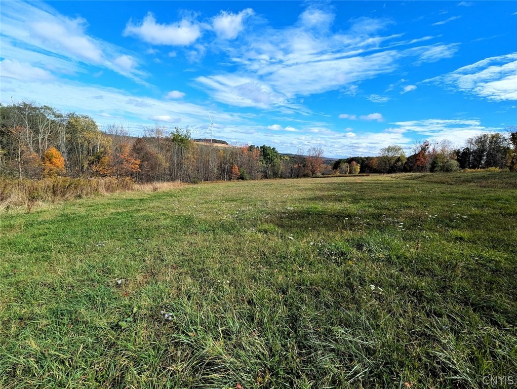 3621 Brown Hill Road Cohocton, NY 14826 - Photo 6 of 16
