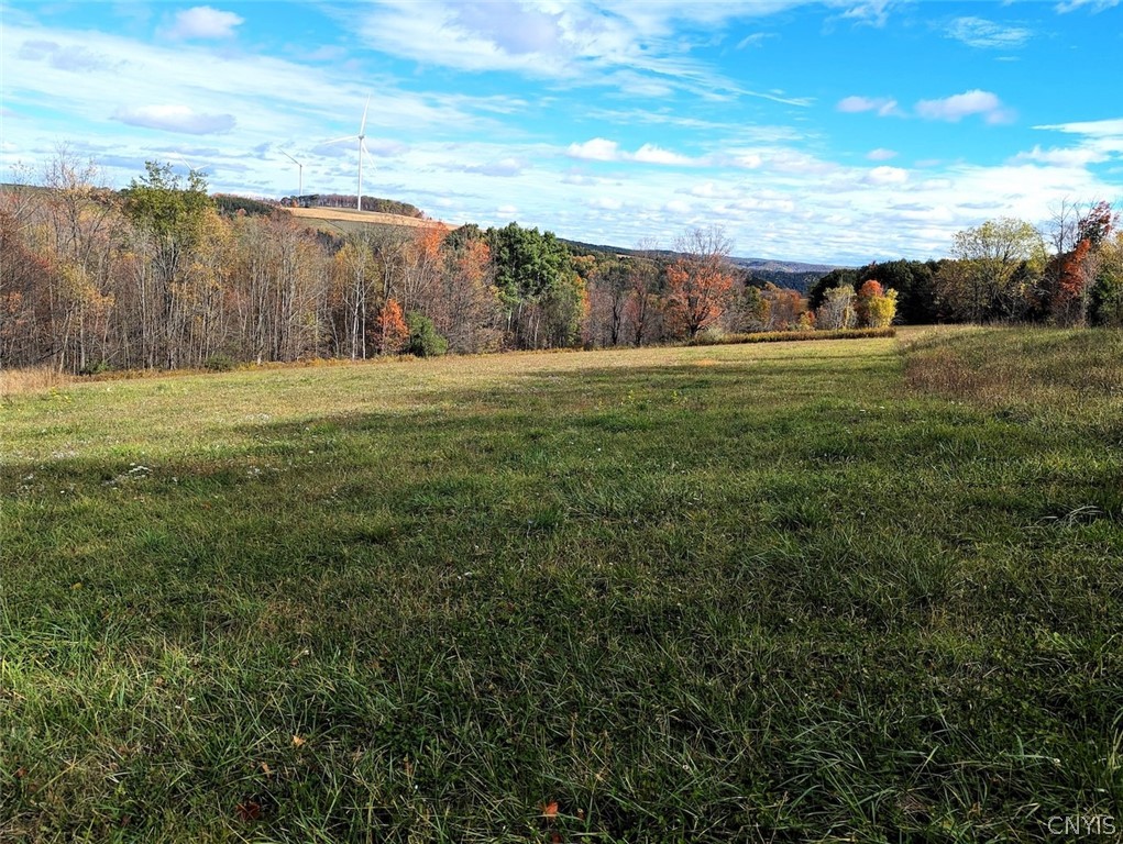 3621 Brown Hill Road Cohocton, NY 14826 - Photo 7 of 16