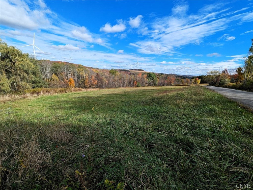 3621 Brown Hill Road Cohocton, NY 14826 - Photo 8 of 16
