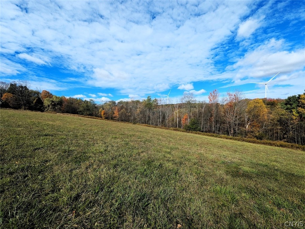3621 Brown Hill Road Cohocton, NY 14826 - Photo 9 of 16