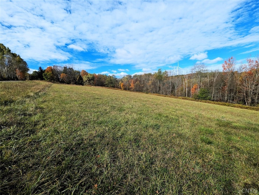 3621 Brown Hill Road Cohocton, NY 14826 - Photo 10 of 16