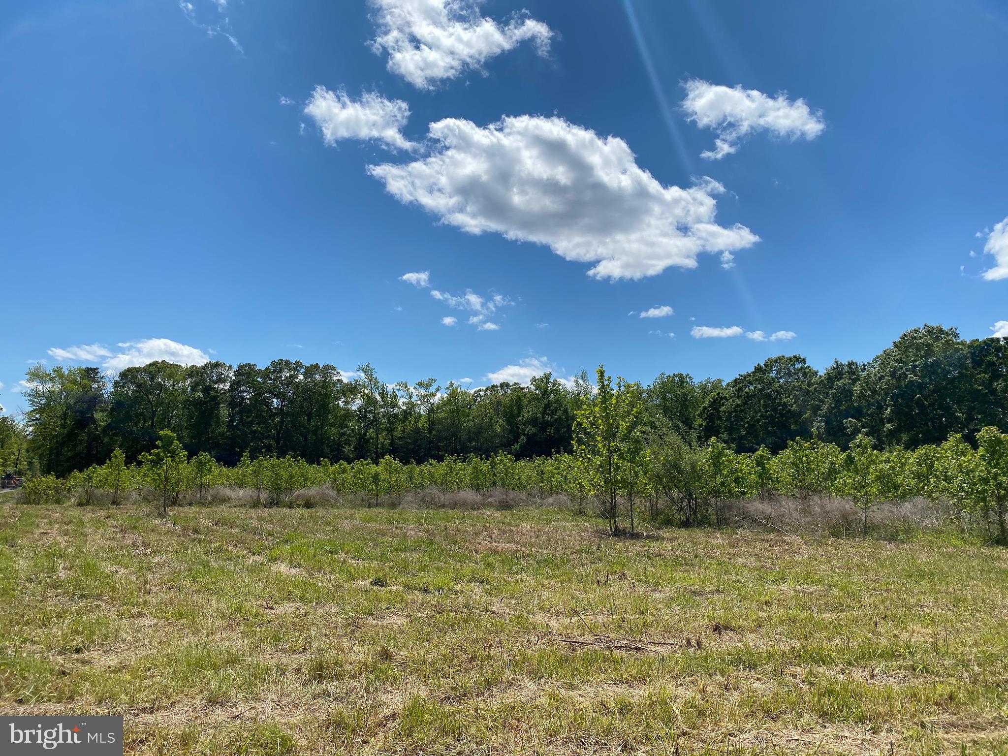 Lot 3 Mathias Point Road King George, VA 22485 - Photo 22 of 32