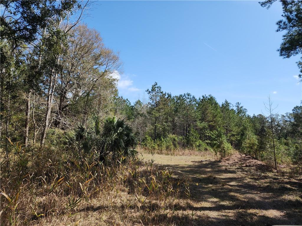 1012 Star Ranch Road Brunswick, GA 31523 - Photo 35 of 43