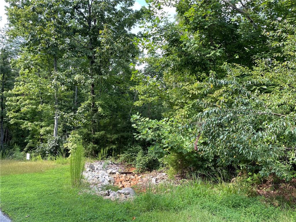 306 Cliffside Trail Pickens, SC 29671 - Photo 17 of 18