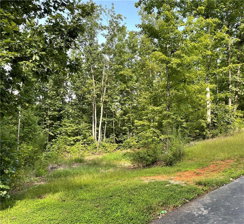 306 Cliffside Trail Pickens, SC 29671 - Photo 2 of 18