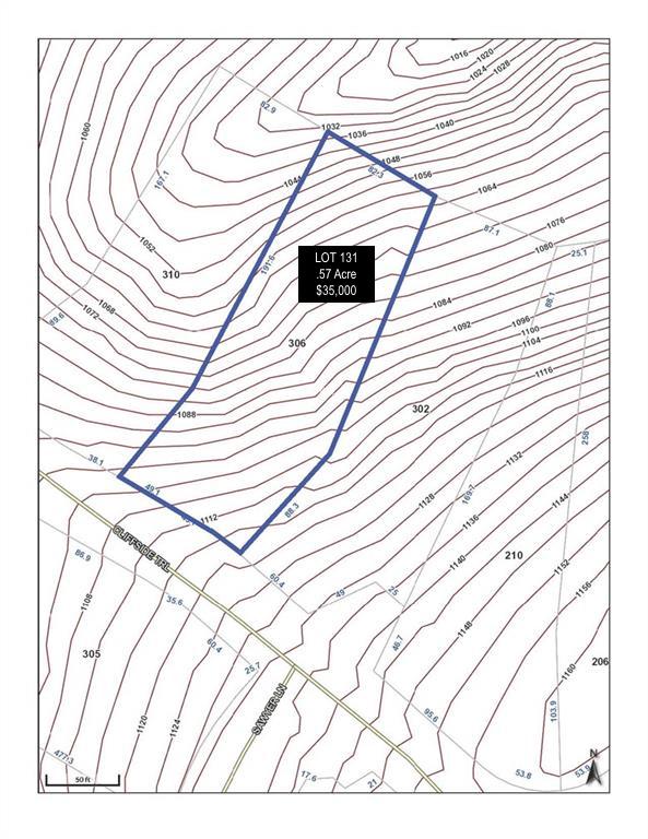 306 Cliffside Trail Pickens, SC 29671 - Photo 4 of 18