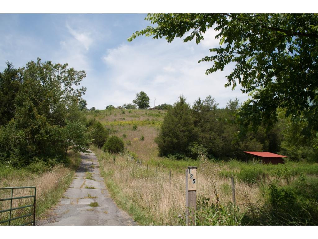 125 Shell Hollow Road Watauga, TN 37694 - Photo 4 of 15 driveway to property