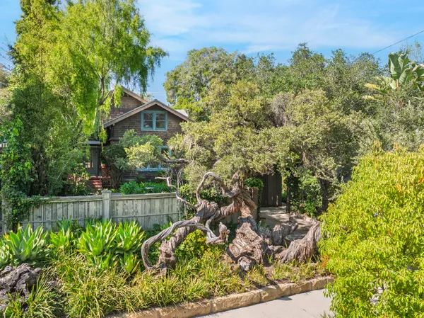 a view of a backyard with plants and large trees